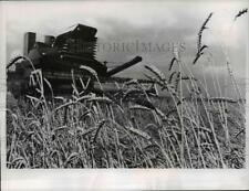 1979 Press Photo Russia, Farming - cvb19272 picture