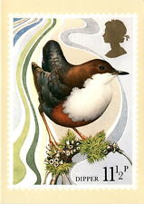 Dipper, British bird, Michael Warren, Post Office, January 16, 1980 Postcard picture