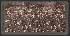 GAR men and young citizens in thousands at Rockford, Ill, to hear - Old Photo picture