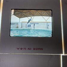 112 Vintage 35mm Film Slides 1970's  St Pete Aquatarium, Space Center, Six Flags picture