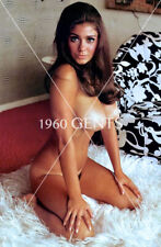 1960s Photo Print Big Breasts Brunette Playboy Model Cynthia Myers Artistic CM8 picture