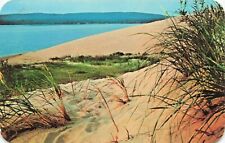 West Michigan Sand Dunes Vintage Chrome PC Posted 1968 picture