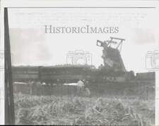 1959 Press Photo Men view wreckage of two Wabash freight trains near Toledo, OH picture
