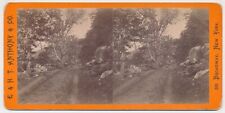 NORTH CAROLINA SV - French Broad River Road - Anthony 1870s picture