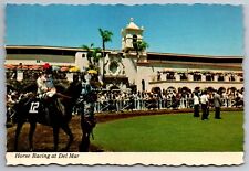 Postcard Horse Racing at Del Mar Track California  G 22 picture
