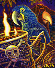 CBjork 8x10 Signed Print Pirate Pirate Parrot Macaw Treasure picture