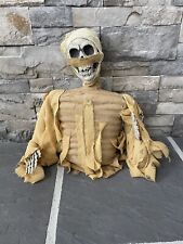 Halloween Scary Skeleton Skull Outdoor Decoration picture