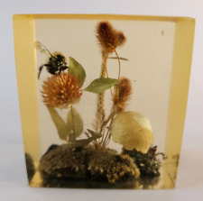 Vintage Lucite Bumble Bee and Dried Flowers Paperweight picture