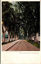 Vtg Springfield MA Cemetery Avenue Tree Lined Street 1905 Detroit Pub Postcard picture