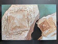 Dolomite Pyramids, Found Only In Major County, OK - Mid-Later 1900s, Rough Edges picture