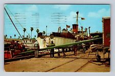 Tampa FL-Florida, Unloading Bananas at the Docks, Antique Vintage c1958 Postcard picture