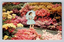 Portland OR-Oregon, Washington Park, Azalea Flower Garden, Vintage Postcard picture