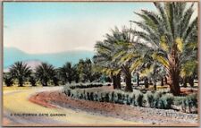 Vintage CALIFORNIA Hand-Colored RPPC Postcard 