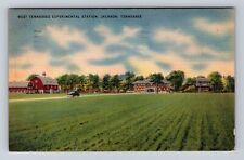 Jackson TN-Tennessee West Tennessee Experimental Station Vintage c1944 Postcard picture