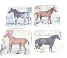 Rare gift Prehistoric Horse Coasters Hand Painted rare and unique  picture