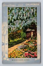 CA-California, Scenic Greetings, Wisteria Blossoms, Antique Vintage Postcard picture