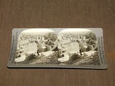 VINTAGE STEREOVIEW STEREOSCOPE CARD PALACE OF NEBUCHADNEZZAR BABYLON MESOPOTAMIA picture