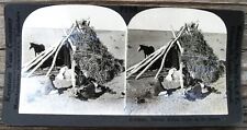V23204 KEYSTONE VIEW COMPANY P256 NAVAJO INDIAN HOME ON THE DESERT VIEW CARD picture