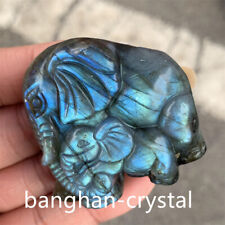Natural labradorite elephant Carved Quartz Crystal Skull reiki Healing 1pc picture