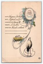 c1910's Stork Birth Baby Pansies Flowers Art Nouveau Posted Antique Postcard picture