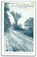 1908 Le Sueur Road The Old Elms St. Peter Minnesota MN Antique Postcard picture