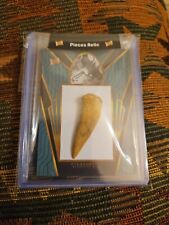 PTERODACTYL 2023 PIECES OF THE PAST TOOTH FOSSIL RARE RELIC CARD DINOSAUR picture