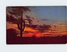 Postcard Saguaro and Sunset Scene picture