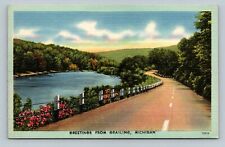 Michigan Grayling Greetings from lake scene linen postcard  UNPOSTED picture