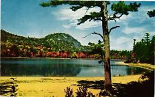 Vintage Postcard- CATHEDRAL LEDGE AND ECHO LAKE STATE PARK, NORTH CONWAY,  1960s picture