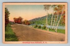 Ripley NY, Scenic Greetings, Road, New York Vintage Postcard picture