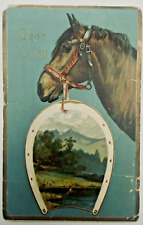 Antique Vintage Postcard Horse Horseshoe Landscape Good Luck Embossed 1900s picture