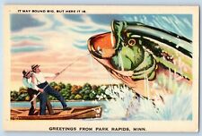 Park Rapids Minnesota Postcard Greetings It May Sound Big Exaggerated Fish 1940 picture