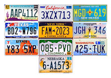 10 USA LICENSE PLATES TAG LOT NEW YORK CALIFORNIA FLORIDA (10A) picture