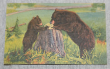 Vintage Postcard: Linen Card-Bears Learning Table Manners in the Rockies picture