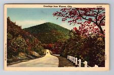 Warren OH-Ohio, Scenic Greetings, Roadway, Antique, Vintage Postcard picture