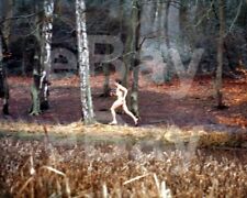 An American Werewolf in London (1981) David Naughton 10x8 Photo picture