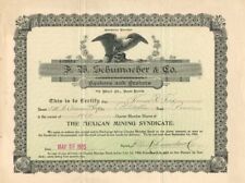F.W. Schumacher and Co. Bankers and Brokers - Stock Certificate - Mexican Stocks picture
