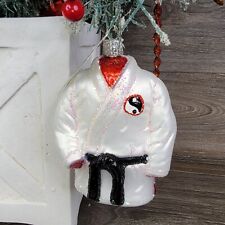 Old World Christmas Ornament OWC Martial Arts Robe 2018 Hand Blown Glass Glitter picture