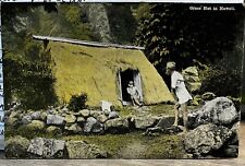 1928 very rare unused postcard Grass Hut in Hawaii picture