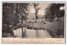c1905s Meadows North Trees Scene Conway New Hampshire NH Unposted Cows Postcard picture