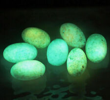 20pcs Glow In The Dark Tibetan Wealth God Ancient Luminous Egg Old Dzi Bead picture