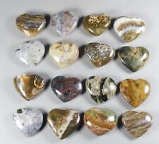 16pcs Collection Amazing Ocean Jasper Stone Crystal Heart shaped Healing picture