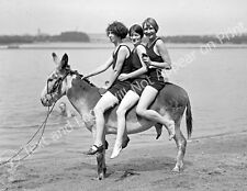 1924 Bathing Beauties on a Donkey, Arlington Beach Old Photo 8.5