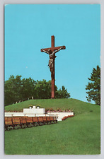 Postcard Indian River MI Catholic Shrine Lily of the Mohawks Calvary Cross picture