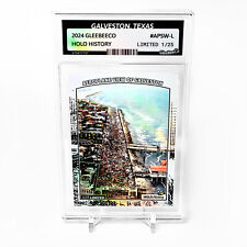 AEROPLANE VIEW OF GALVESTON, TEXAS Seawall and Beach GleeBeeCo Card #APSW-L /25 picture