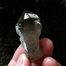 20g 44mm Amazing Quartz Point Natural Mystical Cutted & Marked By Nature Forces picture