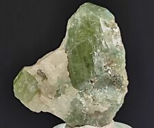 Natural Diopside Crystal with Mica on Matrix (CG 624) Daylight Photos picture