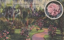 Postcard FL Cypress Gardens Florida Camellia Japonica's Lane  H32 picture