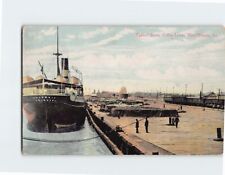 Postcard Typical Scene Cotton Levee New Orleans Louisiana USA picture