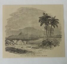 1880 magazine engraving ~ COAST OF RED SEA AT TOR, Rephidim picture